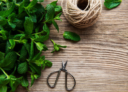 Fresh mint leaves on old wooden background