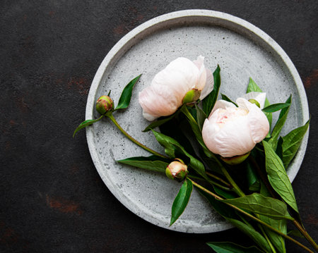Fresh pink peony flowers on a concrete plate with copy space on black background, flat lay.の写真素材