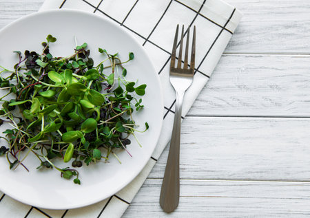 Micro greens in a plate on a white background, micro green, healthy food conceptの写真素材