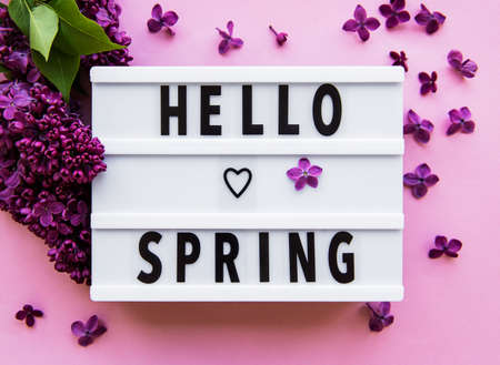 Lightbox with text HELLO SPRING and lilac flowers on a pibk background