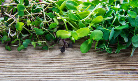 Assortment of micro greens at old wooden background, top view. Healthy lifestyleの写真素材