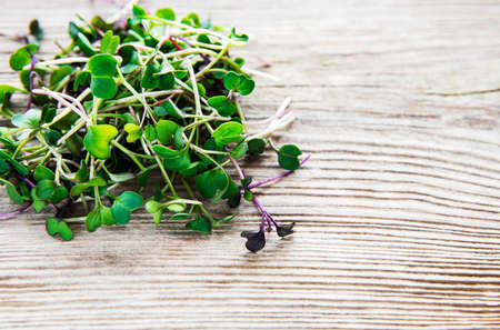 Heap of radish micro greens on old wooden background. Healthy eating concept.