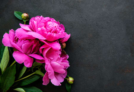 Fresh pink peony flowers border with copy space on black background, flat lay.の写真素材