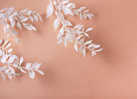 Frame of white branches with leaves on a brown backgroundの写真素材