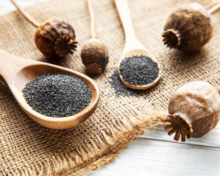 Poppy seeds in small wooden spoons on the wooden backgroundの写真素材