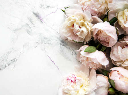 Fresh light pink peony flowers border with copy space on white marble background, flat lay.の写真素材