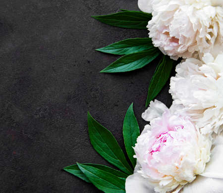 Fresh pink peony flowers border with copy space on black background, flat lay.の写真素材