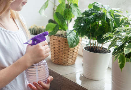 Little girl splashing water on house plants. Home gardeningの写真素材