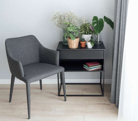Houseplant at home. Different house plants on the table