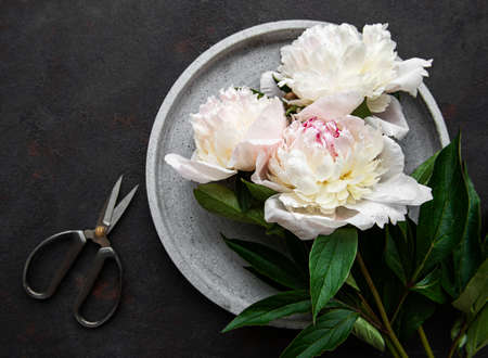 Fresh pink peony flowers on a concrete plate with copy space on black background, flat lay.の写真素材