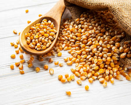Dry Corn seeds in burlap bag on a old white wooden background