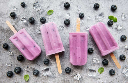 Ice cream from homemade yogurt and fresh organic blueberries.