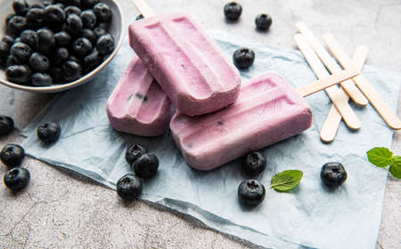 Ice cream from homemade yogurt and fresh organic blueberries.