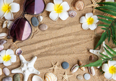 Concept of the summer travel with fish star and sea shells on the sand background