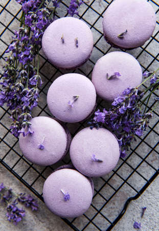 French macarons with lavender flavor and fresh lavender flowersの写真素材
