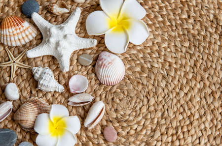 Summer vacation concept. White frangipani flower, seashells and starfishの写真素材