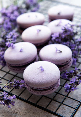 French macarons with lavender flavor and fresh lavender flowersの写真素材