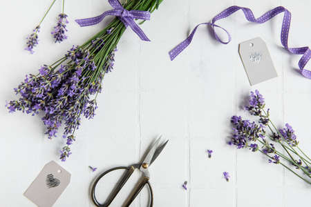 Lavender flowers, scissors and ribbon on a white tile backgroundの写真素材