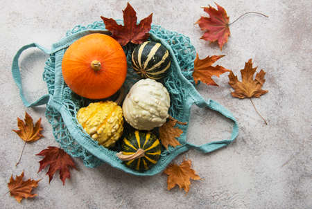 Autumn composition with assorted pumpkins in eco string bag, thanksgiving background.の写真素材
