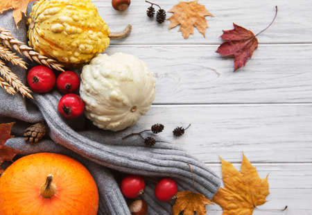 A rustic autumn still life with pumpkins on wooden backgroundの写真素材