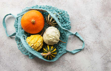 Autumn composition with assorted pumpkins in eco string bag, thanksgiving background.の写真素材