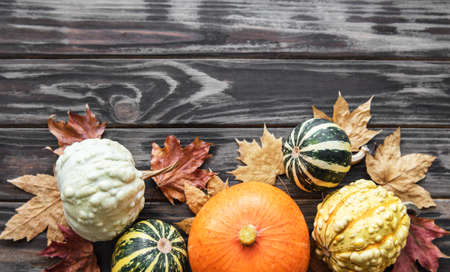 Autumn composition, cozy fall season, pumpkins and leaves on wooden background. Symbol of thanksgiving holiday, flat layの写真素材