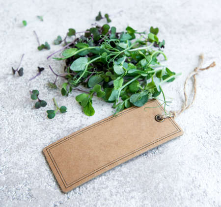 Assortment of micro greens on concrete background. Healthy lifestyleの写真素材