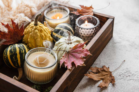 Fall composition with multi color pumpkins on rustic backgroundの写真素材