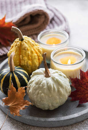 Fall composition with multi color pumpkins on rustic backgroundの写真素材