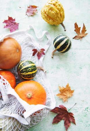 Autumn composition with assorted pumpkins in eco string bag, thanksgiving background.の写真素材