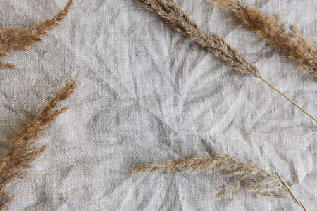 Flatlay of pampas grass on gray textile background. Minimal concept. Flat lay, top view, copy space.の写真素材
