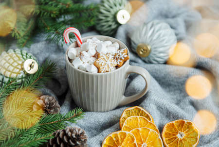 Cozy winter and Christmas setting with hot cocoa and homemade cookies