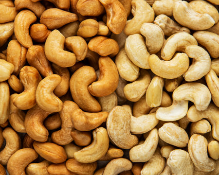 Tasty cashew nuts, raw and roasted, as a food background