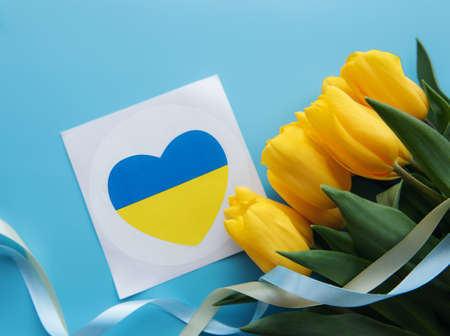 Ð¡ard with a heart in the colors of the Ukrainian flag and yellow tulips on a blue background. Support for Ukraineの写真素材