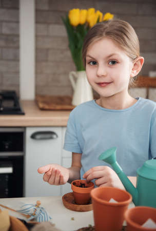 Little girl sitting at the table at home, sowing seeds into flower pots. home gardeningの写真素材