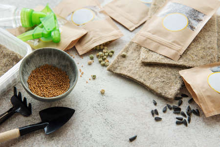 Microgreen seeds in paper bags and microgreen sowing equipment on the table. Health food.