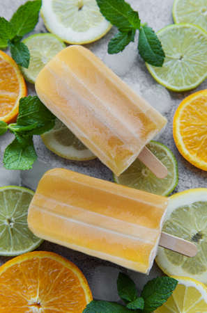 Fruit orange ice , ice cubes and slices of citrus fruits.の写真素材