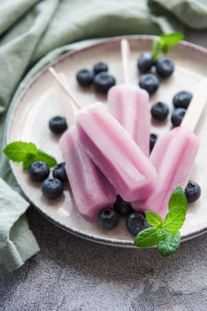Ice creams from fresh organic blueberries. Summer sweets and desserts. Vegan food.