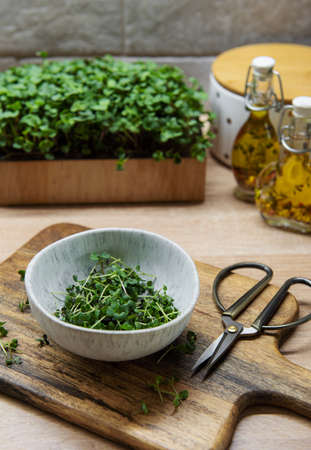 Assortment of micro greens on table. Healthy food