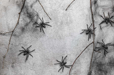 Halloween holiday background with  decorations.  Halloween background with spider web and spiders as symbols of Halloween. View from above. Flat layの写真素材