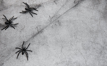 Halloween holiday background with  decorations.  Halloween background with spider web and spiders as symbols of Halloween. View from above. Flat layの写真素材