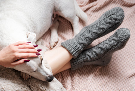 Legs of a young girl in cozy knitted socks. Female legs in warm socks on plaid. The dog sleeps next to the girl. Concept of heating seasonの写真素材