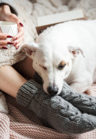 Cozy home, woman covered with warm blanket, drinks coffee,  sleeping dog next to woman. Relax,...