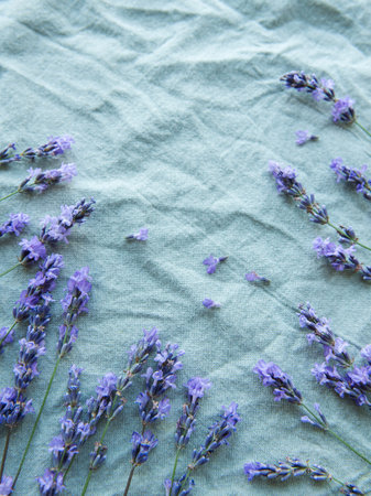 Lavender flowers and leaves creative frame on a textile background. Top view, flat lay. Floral...