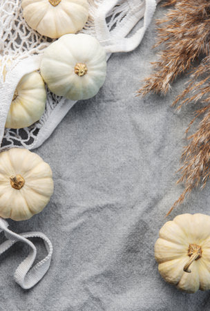 Thanksgiving or harvest flatlay with pumpkins on grey textile background. Autumn fall concept. Holiday decor.の写真素材