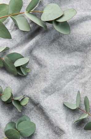 Eucalyptus branch  on textile fabric background. Flat lay, top view.  Space for text.の写真素材