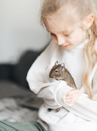 Young girl playing with cute chilean degu squirrel.  Cute pet sitting on kid's handの写真素材