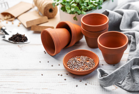 Gardening concept, planting at home.  Set of gardening tools and supplies for sowing seedsの写真素材