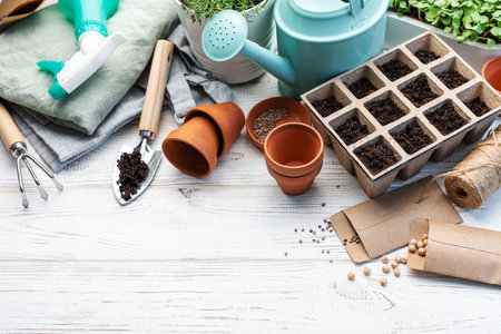 Gardening concept, planting at home.  Set of gardening tools and supplies for sowing seedsの写真素材