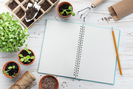 Gardening concept, planting at home.  Set of gardening tools and supplies for sowing seedsの写真素材